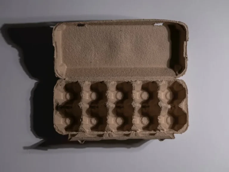 Compostable Packaging: Buyer Guide for Businesses