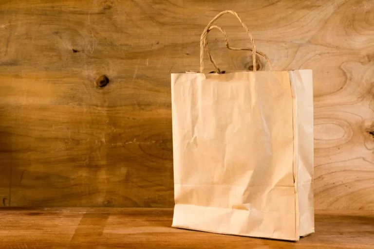 Paper Bags vs Alternatives: What Is Better?