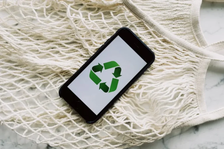 Reusable Clear Bags vs Disposable Bags Explained