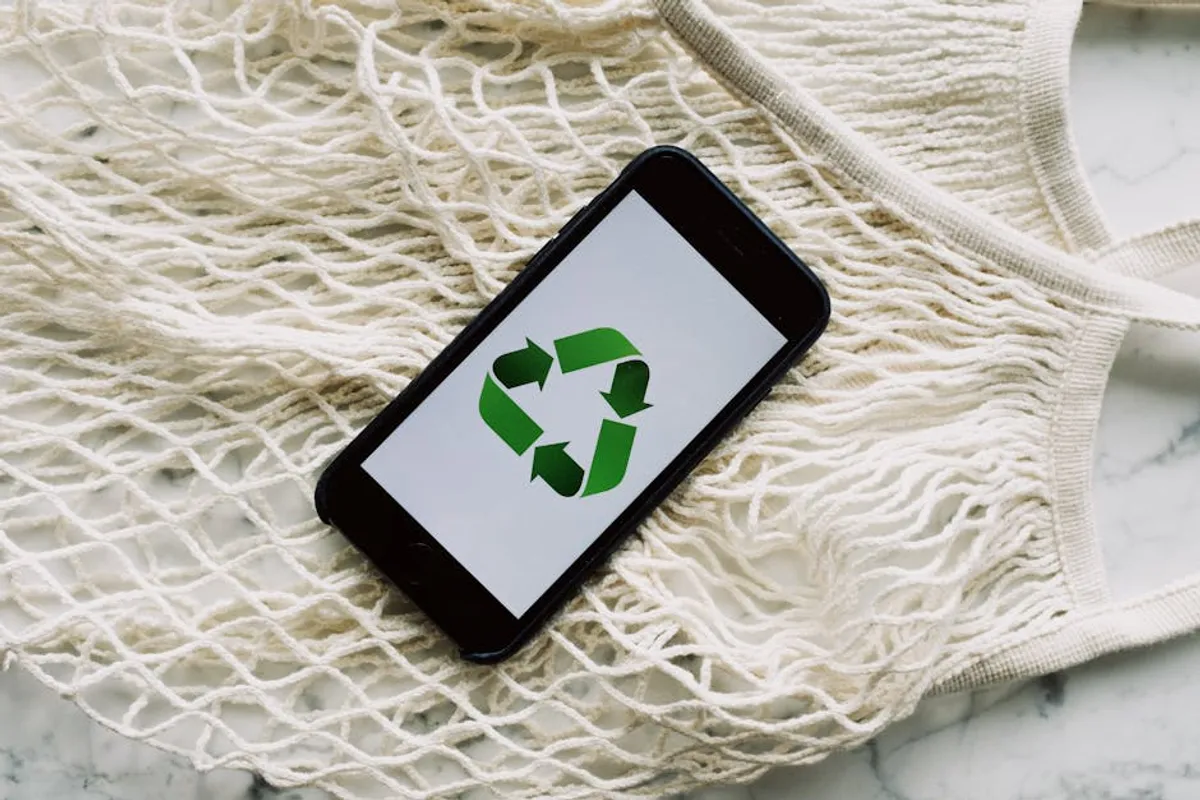 Reusable Clear Bags vs Disposable Bags Explained
