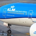 Royal air philippines liquidation: Complete Guide, Uses, Specs, and Buying Tips