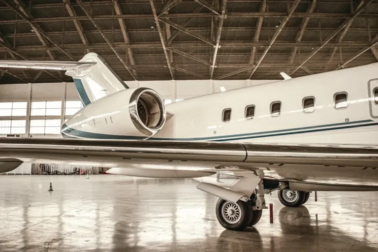 Sustainable aviation fuel: Complete Guide, Uses, Specs, and Buying Tips