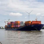 Sustainable Shipping Materials: Buyer Guide for Businesses