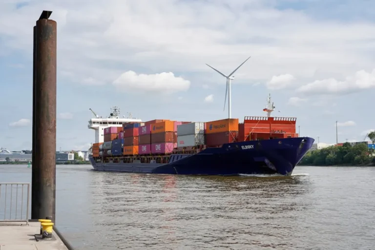 Sustainable Shipping Materials: Buyer Guide for Businesses