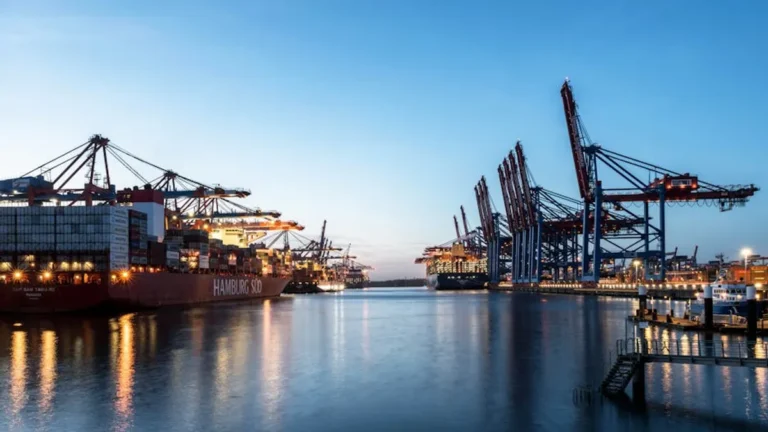 Sustainable Shipping Materials vs Alternatives: What Is Better?