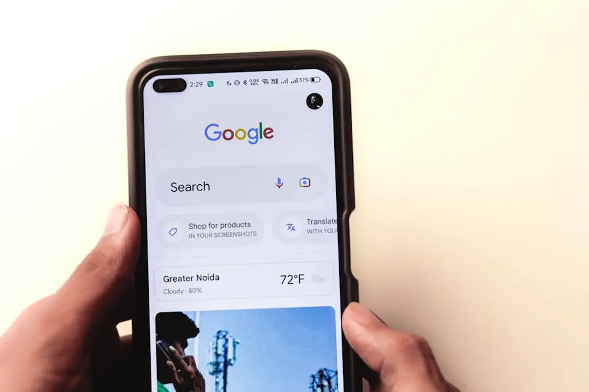 Why Audiences Search for Movierulz 2024: Streaming, Culture, and Curiosity: A Clear Bags, Events, Travel, And Retail Perspective